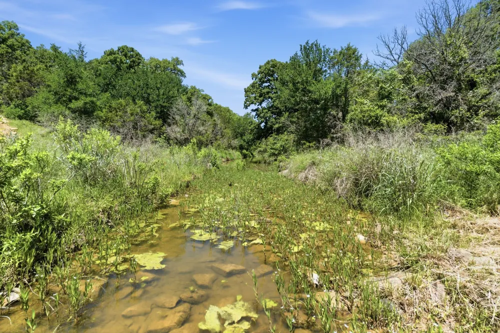 4320 Dobbs Valley Road Millsap, TX 76066