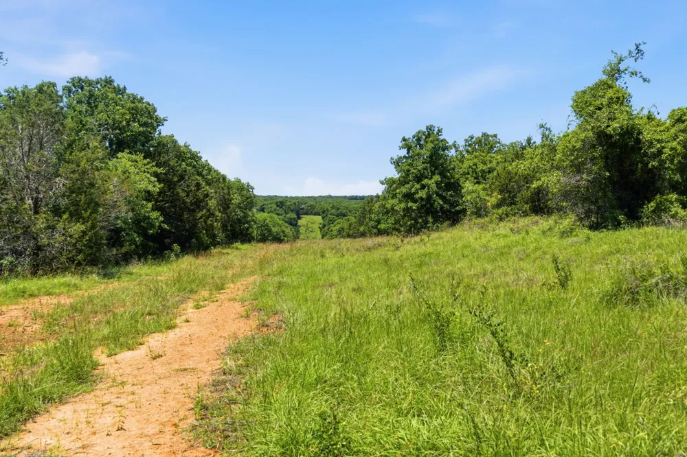 4320 Dobbs Valley Road Millsap, TX 76066