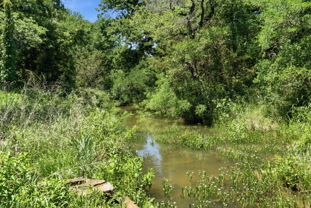 4320 Dobbs Valley Road Millsap, TX 76066