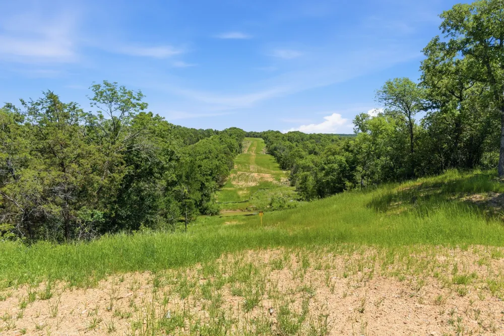 4320 Dobbs Valley Road Millsap, TX 76066