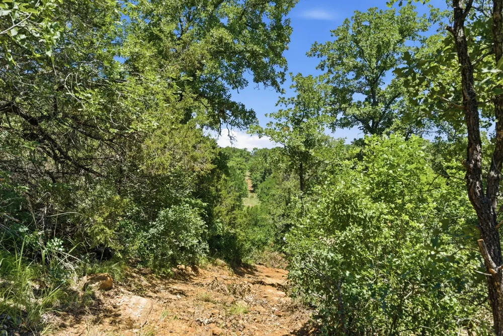4320 Dobbs Valley Road Millsap, TX 76066