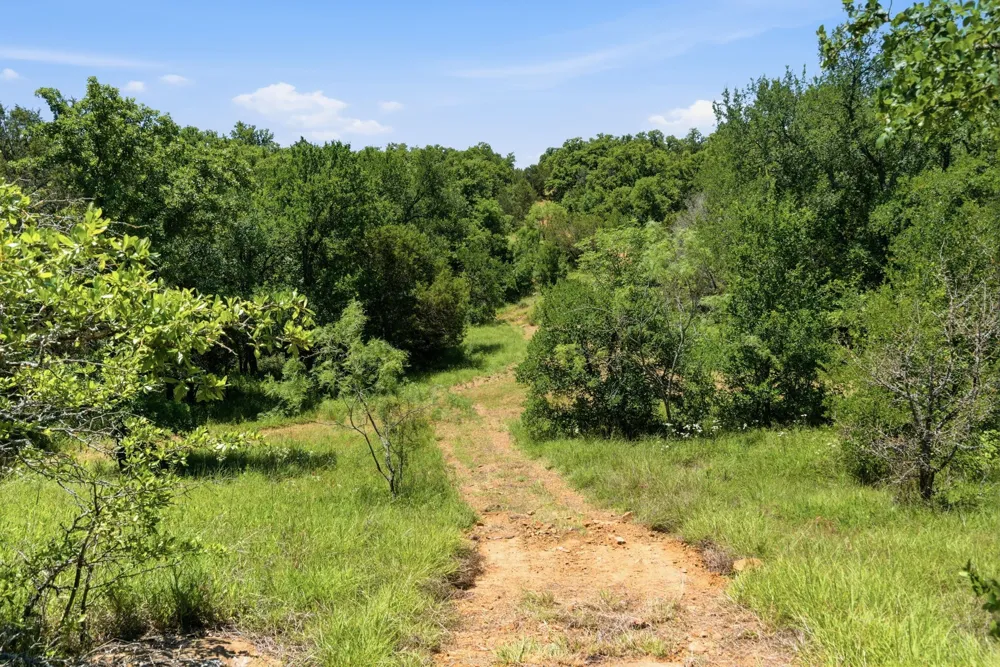 4320 Dobbs Valley Road Millsap, TX 76066