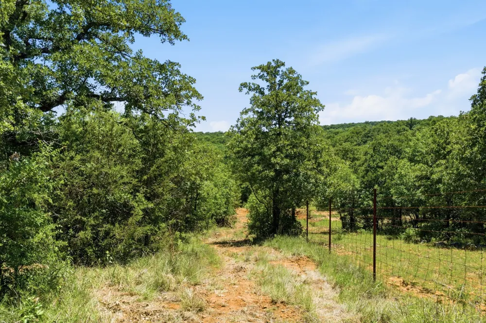4320 Dobbs Valley Road Millsap, TX 76066