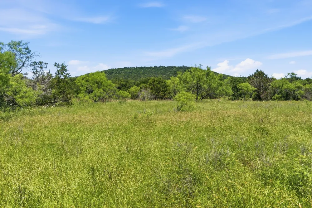 4320 Dobbs Valley Road Millsap, TX 76066