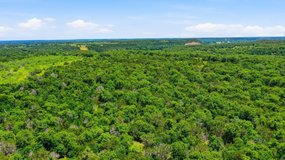 4320 Dobbs Valley Road Millsap, TX 76066