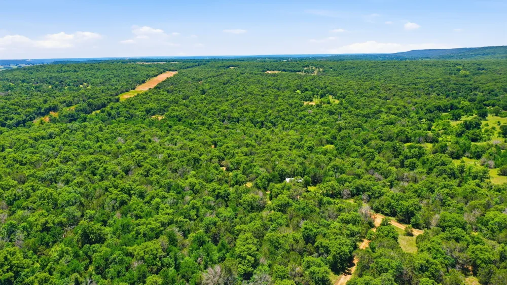 4320 Dobbs Valley Road Millsap, TX 76066