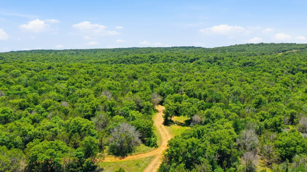 4320 Dobbs Valley Road Millsap, TX 76066