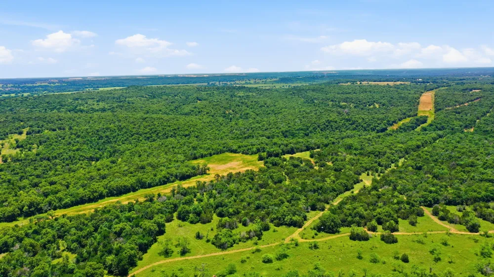 4320 Dobbs Valley Road Millsap, TX 76066