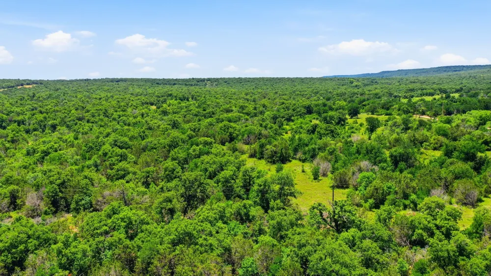 4320 Dobbs Valley Road Millsap, TX 76066