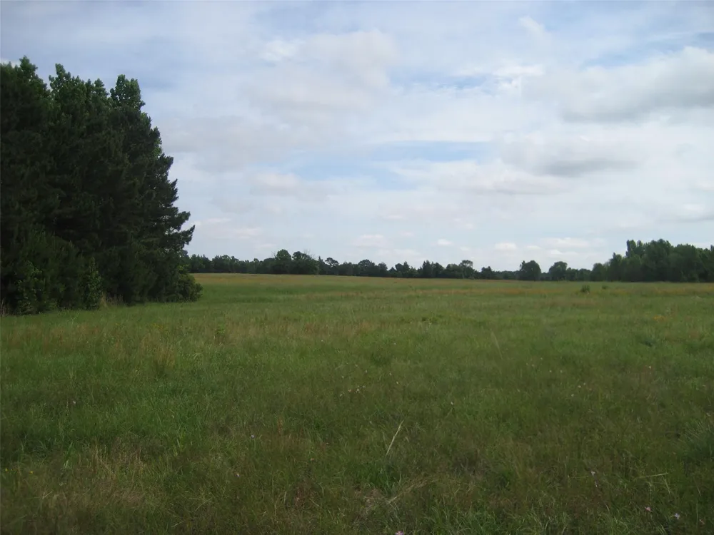 2030 Fm 2022 Elkhart, TX 75839