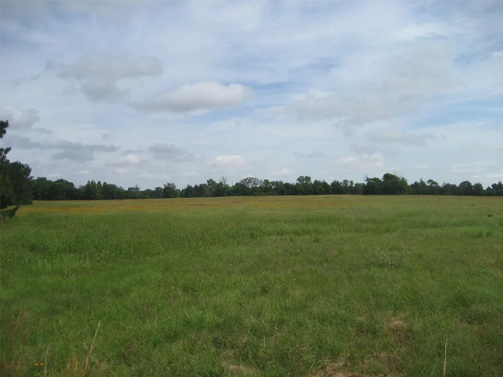 2030 Fm 2022 Elkhart, TX 75839