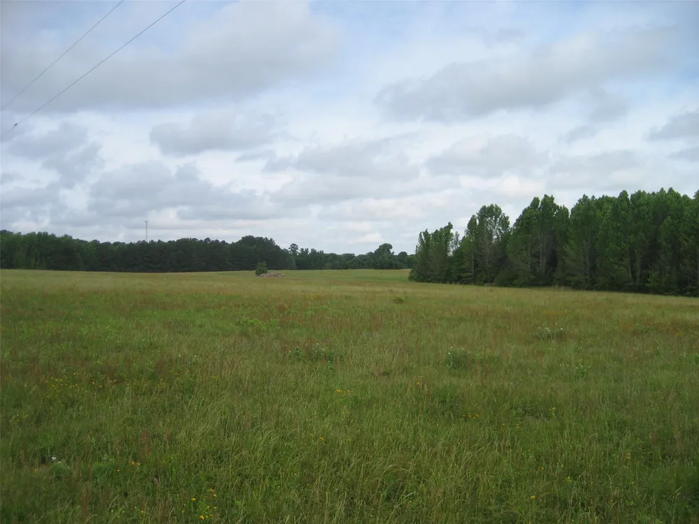 2030 Fm 2022 Elkhart, TX 75839