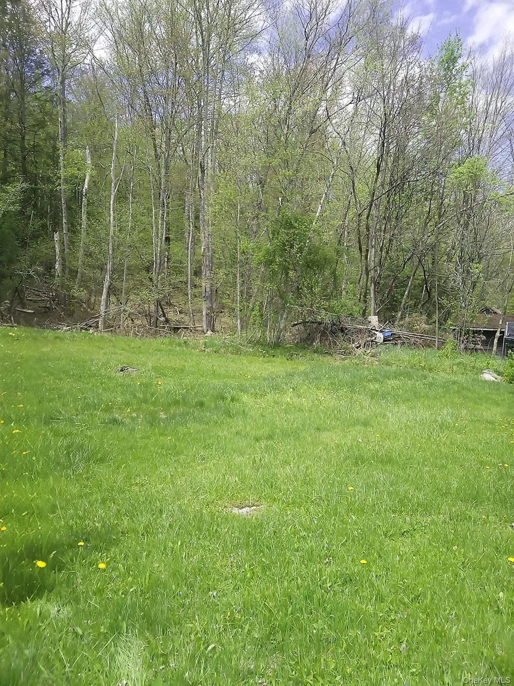 5033 Main Street South Fallsburg, NY 12779