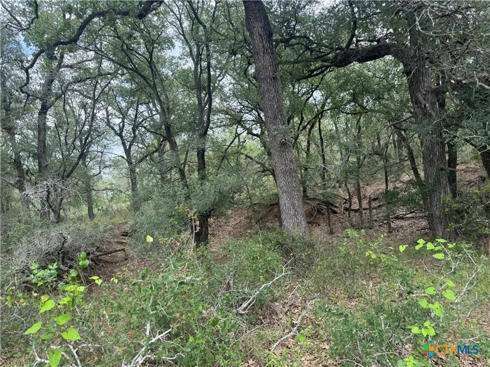 52 Cross Road Seguin, TX 78155