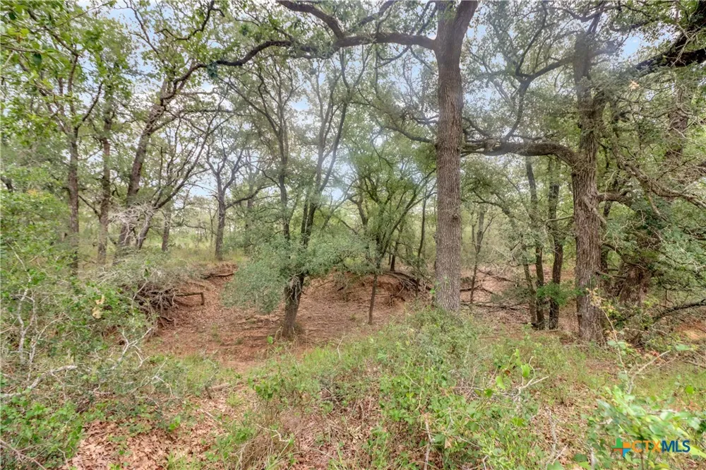 52 Cross Road Seguin, TX 78155