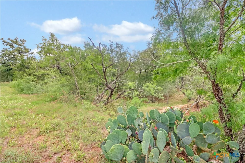 52 Cross Road Seguin, TX 78155