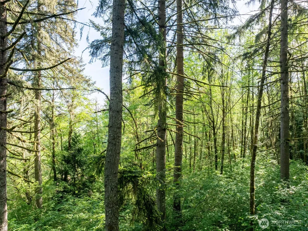 144 Penrose Lane Chehalis, WA 98532
