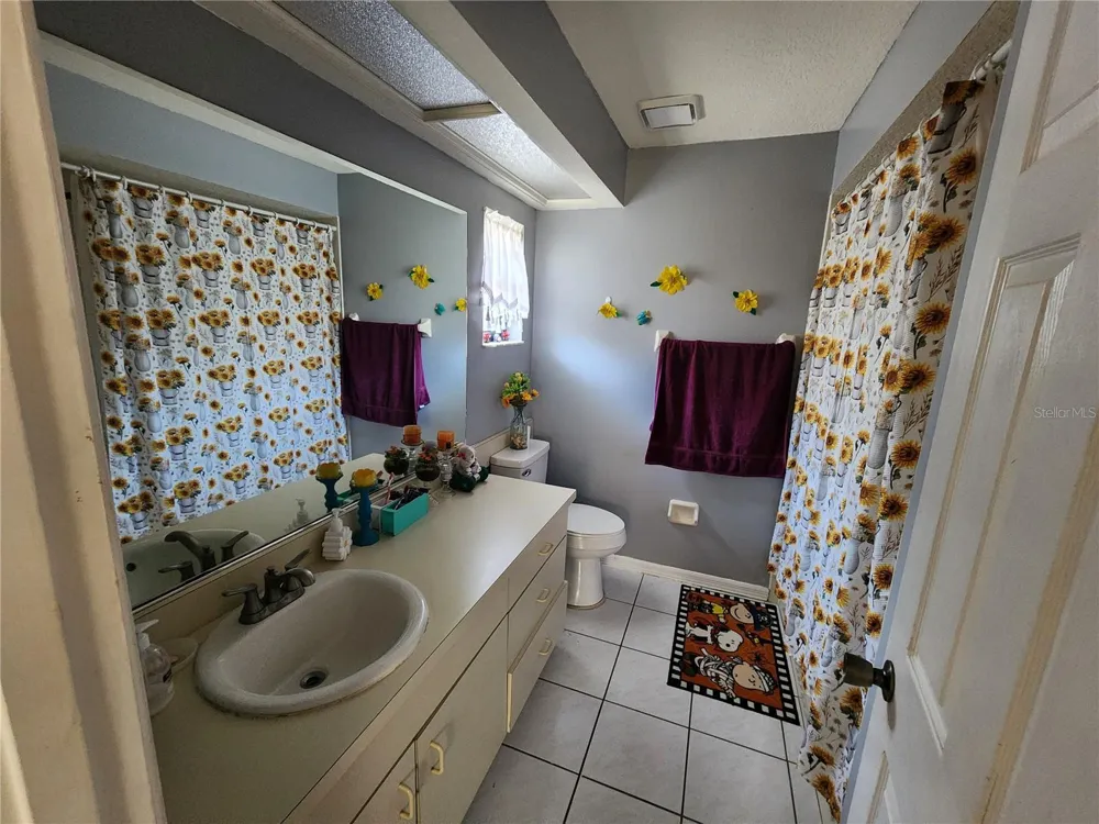 2814 WILDER PARK DRIVE Plant City, FL 33566