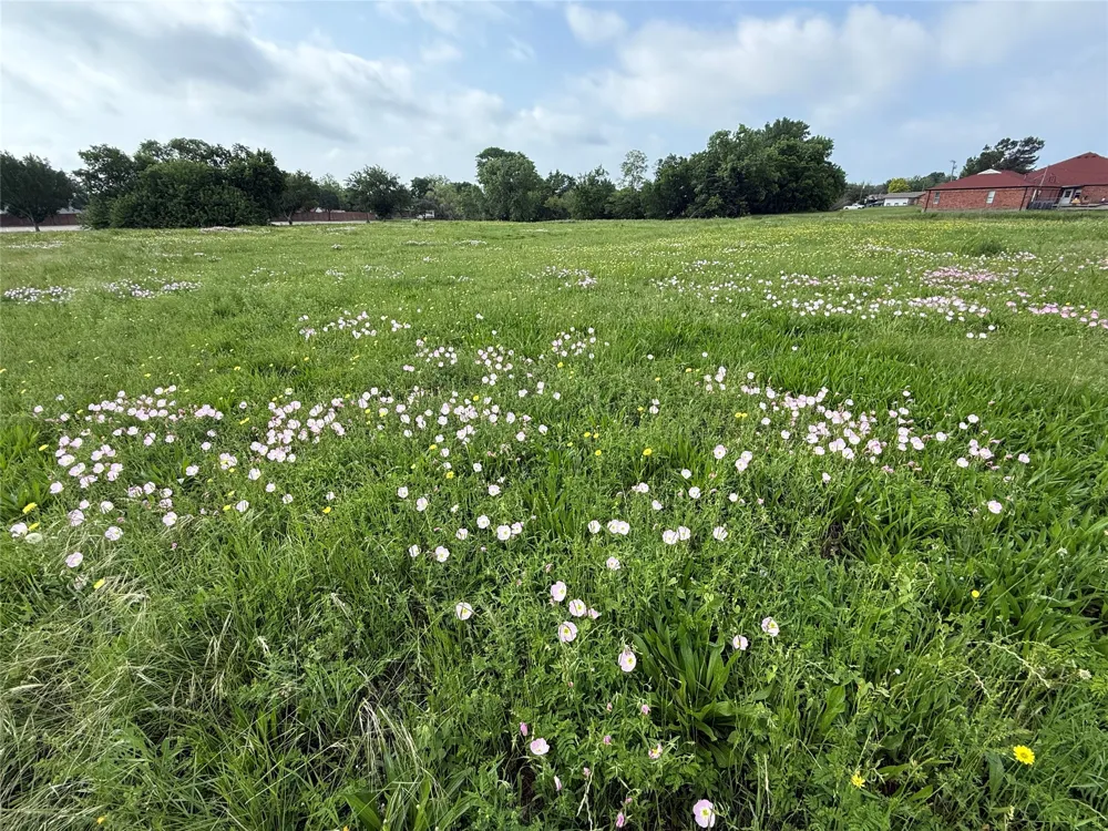 2700 Motley Drive Mesquite, TX 75150