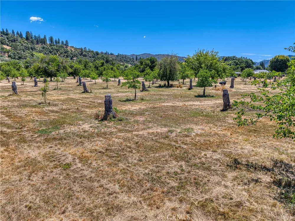 1286 Pitney Lane Upper Lake, CA 95485
