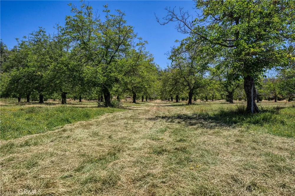 1286 Pitney Lane Upper Lake, CA 95485