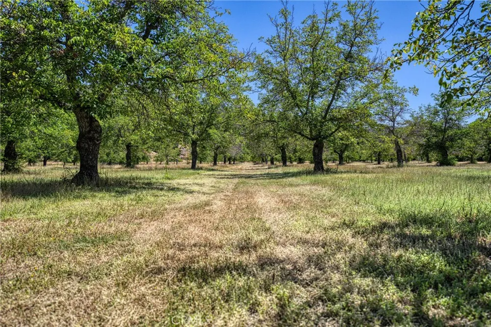 1286 Pitney Lane Upper Lake, CA 95485