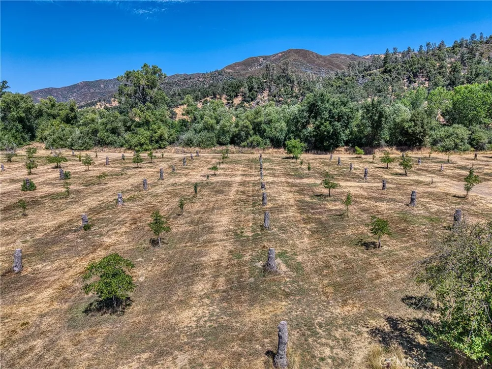 1286 Pitney Lane Upper Lake, CA 95485
