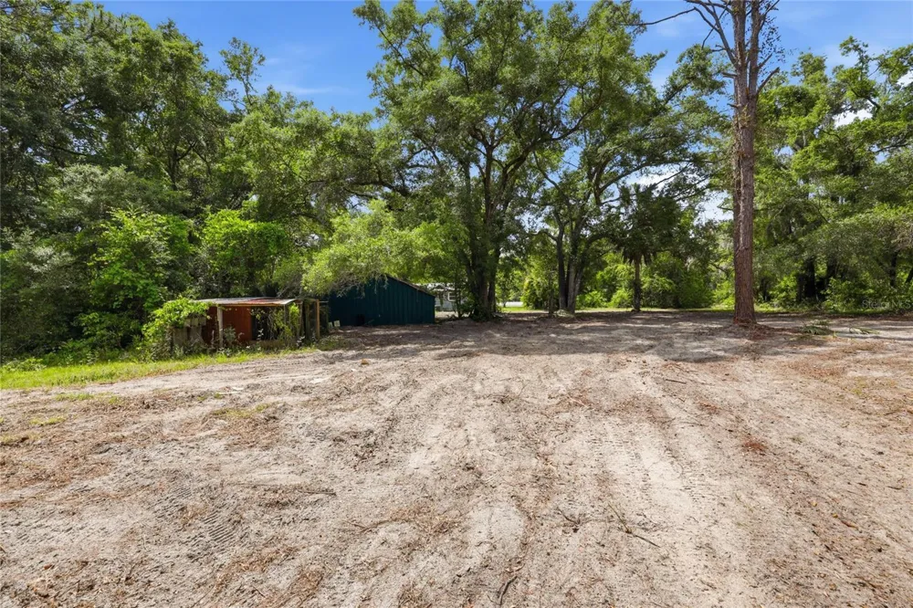 9580 NE HIGHWAY 351 Old Town, FL 32680