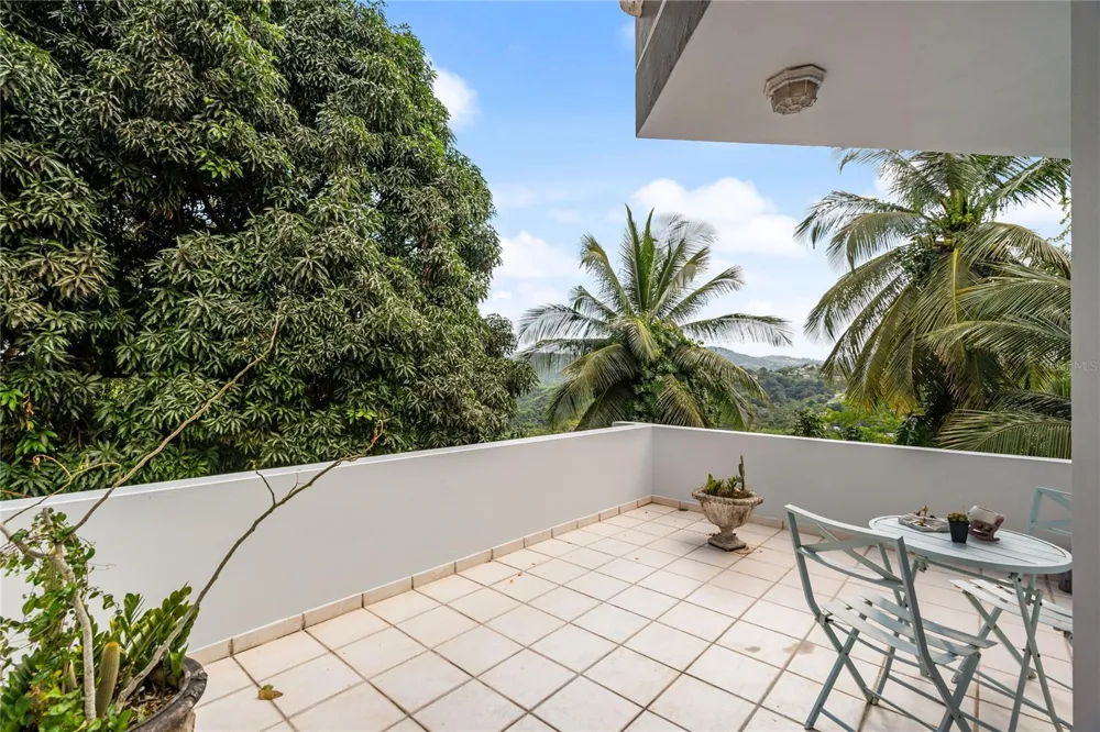19 CALLE "E" Guaynabo, PR 00971