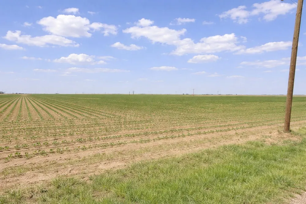 E Ellis Street Levelland, TX 79336