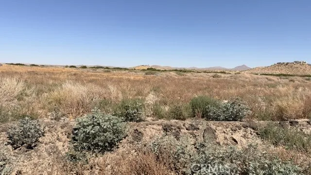 29315 Indian Trail Trust Helendale, CA 92342