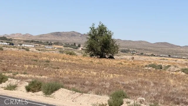 29315 Indian Trail Trust Helendale, CA 92342