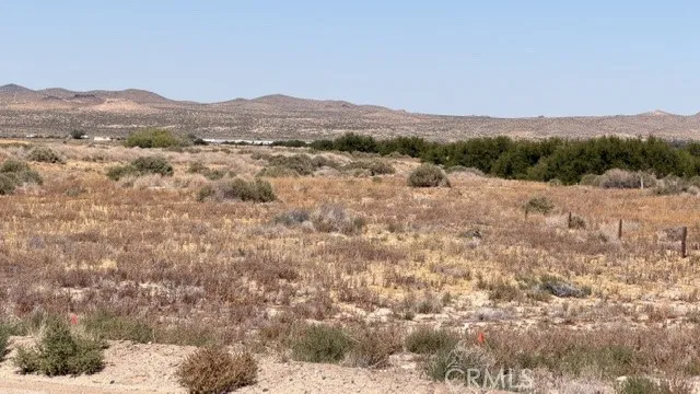 29315 Indian Trail Trust Helendale, CA 92342