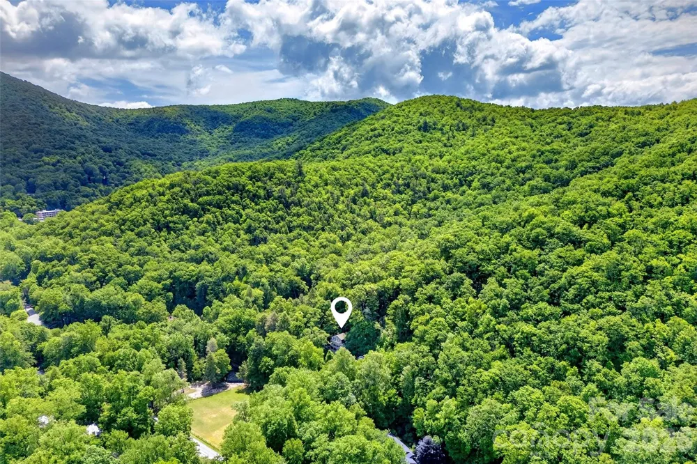 238 Texas Spur Road Montreat, NC 28757