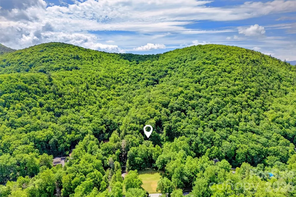 238 Texas Spur Road Montreat, NC 28757