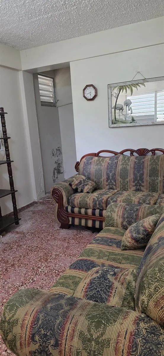 53 Aquilino CARR. 430, BO. OVEJAS Anasco, PR 00610