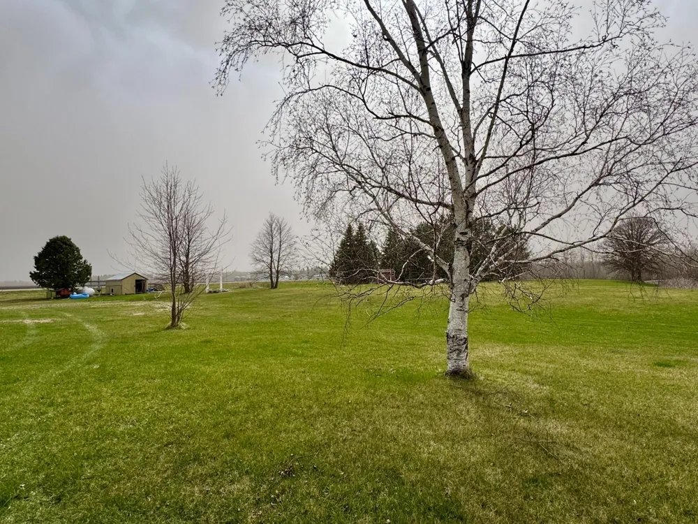 2866 12th Street NW Baudette, MN 56623
