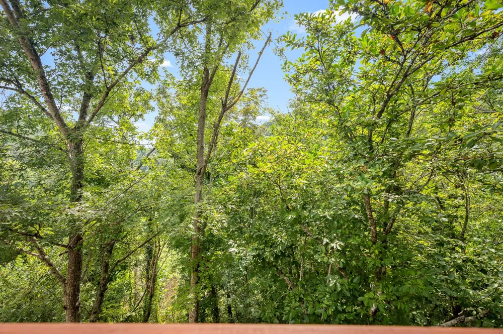 1555 Gassaway Main St Liberty, TN 37095