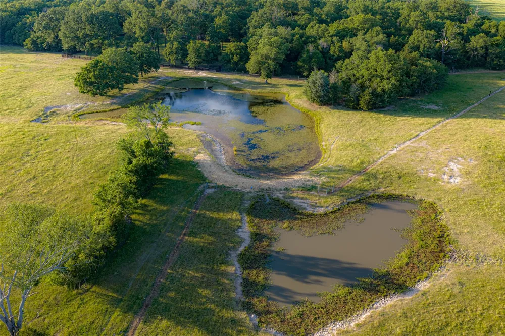 1423 Fm 1653 Ben Wheeler, TX 75754