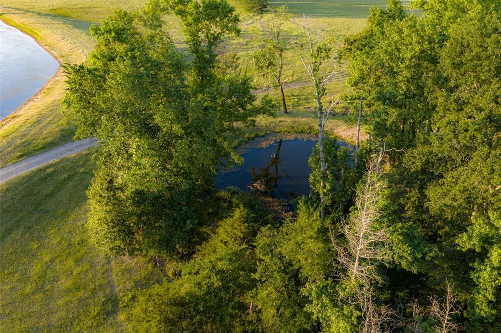 1423 Fm 1653 Ben Wheeler, TX 75754