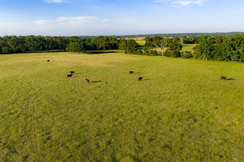 1423 Fm 1653 Ben Wheeler, TX 75754