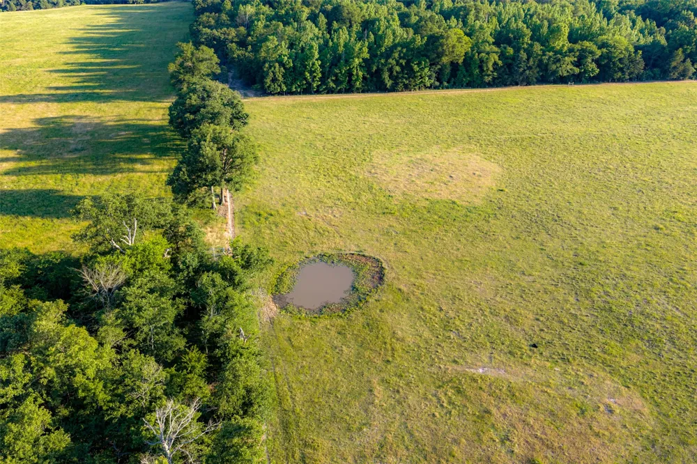 1423 Fm 1653 Ben Wheeler, TX 75754