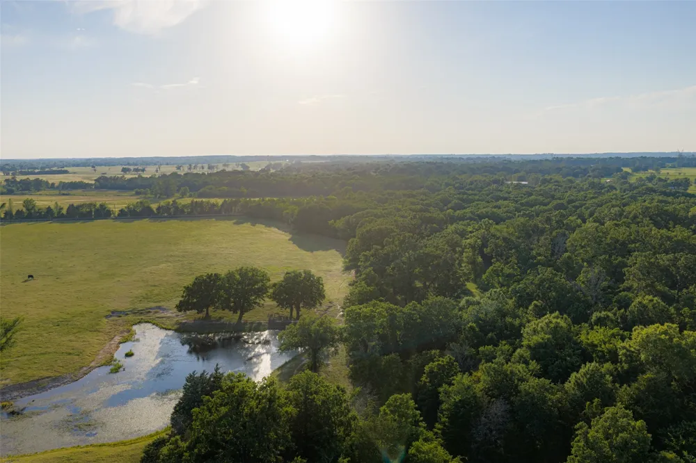 1423 Fm 1653 Ben Wheeler, TX 75754