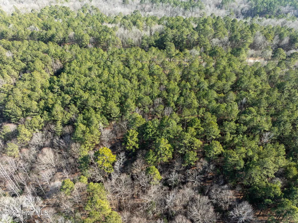 141 State Lane Rockingham, NC 28379