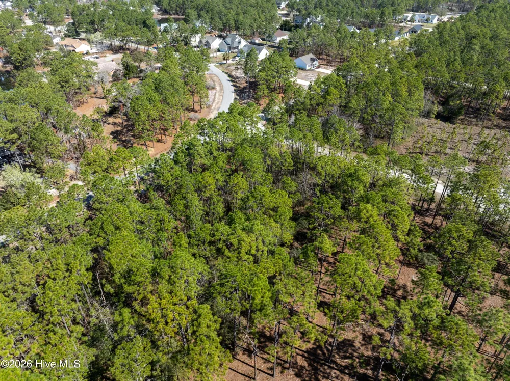 0 Monroe Road Boiling Spring Lakes, NC 28461