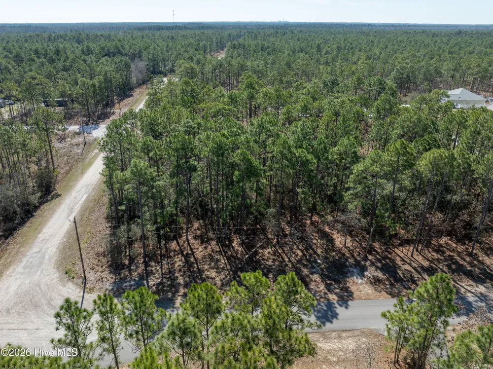 0 Monroe Road Boiling Spring Lakes, NC 28461