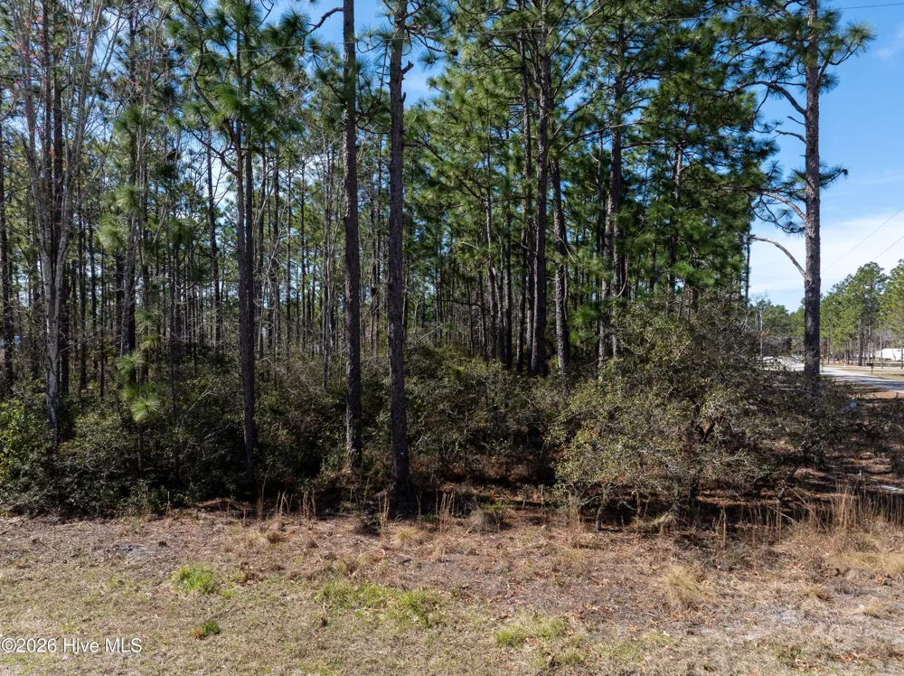 0 Monroe Road Boiling Spring Lakes, NC 28461