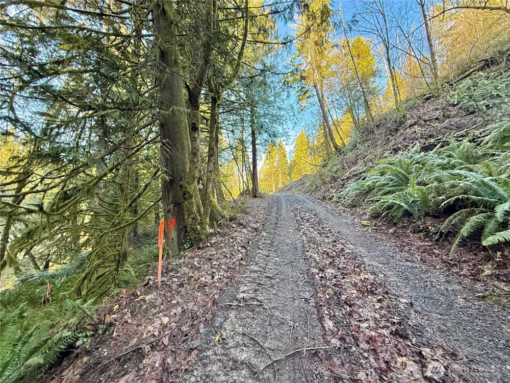 75 E Lakewood Drive Belfair, WA 98528