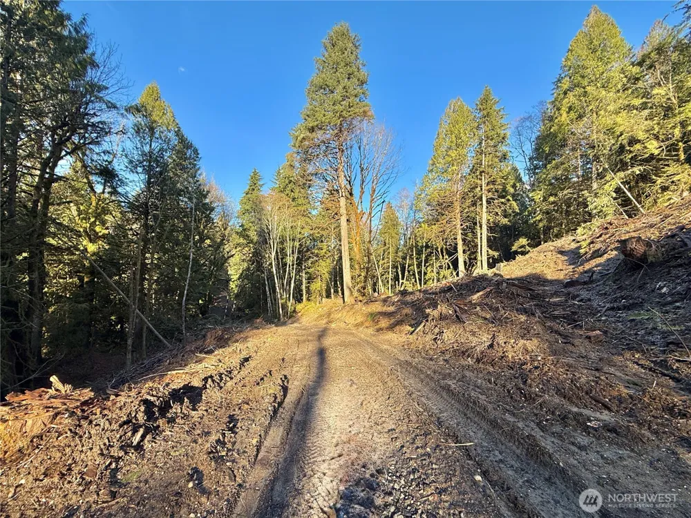 75 E Lakewood Drive Belfair, WA 98528