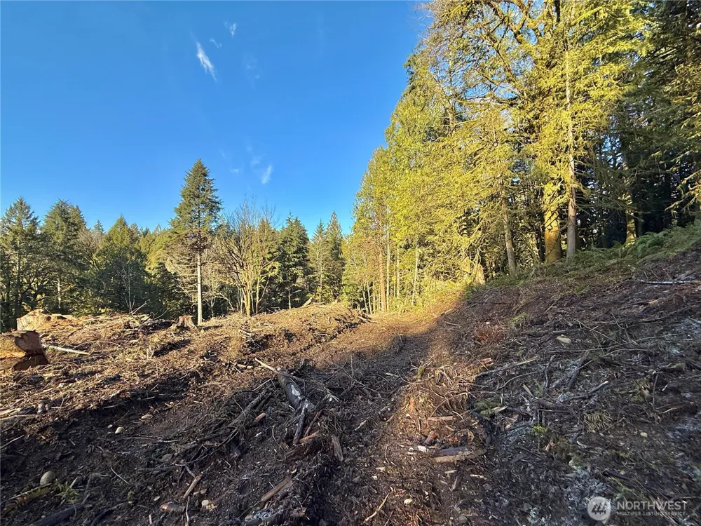 75 E Lakewood Drive Belfair, WA 98528
